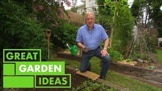 What to Plant In Your Garden This Autumn  GARDEN  Great Home Ideas