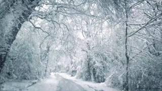 Blizzard Sounds for Sleep Relaxation & Staying Cool  Snowstorm Sounds & Howling Wind in the Forest