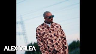 Alex Velea  Bvcovia - Din Vina Ta  Official Video
