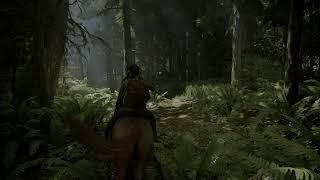 The Last of Us Parte II PS5 4K 60 FPS