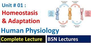 Homeostasis and Adaptation - Human Physiology  unit  01  BSN Lectures   BSN Pakistan