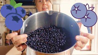  Foraging blueberries on the MYR 