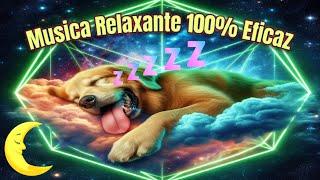 A SUPER Melhor Música para Relaxar seu Cão - o SEU Cão DORME  Melhora a Ansiedade Separação  #cães