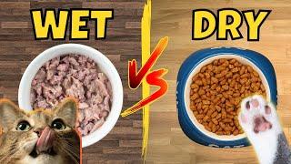 Wet vs. Dry Cat Food Which is Better? Pros and Cons