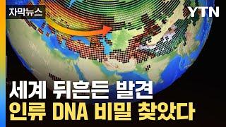 자막뉴스 드디어 풀린 인류 미스터리...유전적 자료와도 일치  YTN