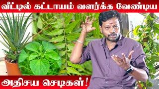 Veetil Valarka Vendiya Chedigal  Mooligai Plants in Tamil  செடிகள் வளர்க்கும் முறை  House Design