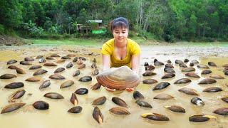 Harvesting A Lot Of Mussels Underneath The Mud Go To Market Sell  Phuong Free Bushcraft