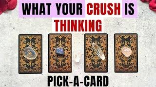 How Does Your Crush See You?Their Thoughts & Feelings  PICK A CARD Timeless In-Depth Love Reading