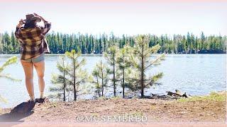 Relaxing Day  Pinetop Lakeside Arizona