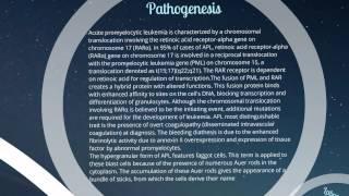 Acute Promyelocytic Leukemia