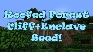 1.13.2 Roofed Forest Cliff+Enclave - Minecraft Seed