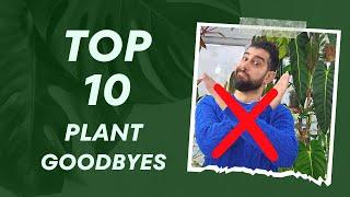  Top 10 Houseplants I Ditched & Why  #PlantFail