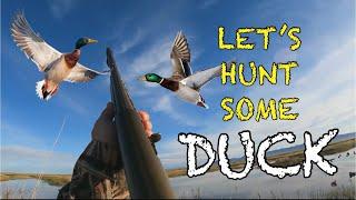Duck Hunting with a 12 Gauge