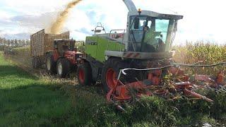 Folbert met Claas Jaguar 870 Speedstar aan het mais hakselen voor Kolkman - deel 1 2022