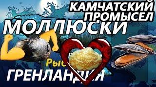 Камчатский промысел Моллюски -Мускулас Сердцевидка Мидия  РР3  Русская рыбалка 3.9 Гренландия