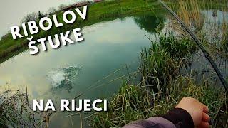 Ribolov štuke u proljeće - Pike Fishing in Spring