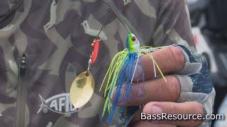 Summer Spinnerbait Tips Catch 15x More Bass  Bass Fishing