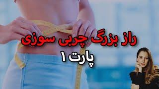 راز بزرگ چربی سوزی  متد کاهش وزن اصولی تاثیر قرص های لاغری