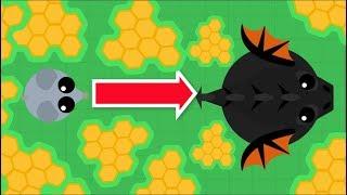 Mope.io  MOUSE TO BLACK DRAGON WITH HONEYCOMBS FOOD  Mope.io Beta run