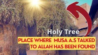 Place where Musa A.S Talked to Allah has been Found