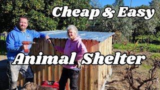 Animal Shelter Build - Start to Finish - 178