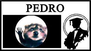 Pedro The Dancing Raccoon Is Taking Over