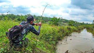 CASTING HARUAN KANAL YANG LIHAI & GANAS SETELAH HUJAN DERAS 