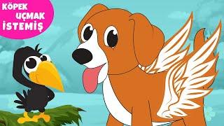 Köpek Uçmak İstemiş  Eğlenceli Çocuk Şarkıları  Köpek Şarkısı  Çizgi Film