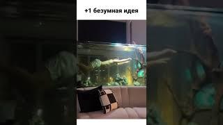 это нужно повторить