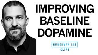 Improve Your Baseline Dopamine for Motivation & Drive  Dr. Andrew Huberman