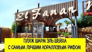 Обзор El Fanar  эль Фанар  пляж и ресторан - лучший коралловый пляж Шарм эль Шейха 2020