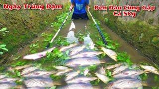 Kích Cá 1 Ngày Trúng Đậm Đi Đến Đâu Cũng Bắt Được Cá To Trên 5Kg  Catch fish