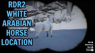 RDR2 WHITE ARABIAN HORSE LOCATION