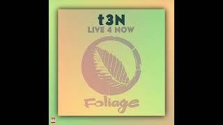 t3N - Live 4 Now 83 West Remix FOLIAGE RECORDS Soulful House