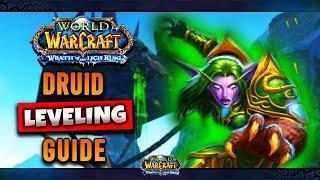 WOTLK Classic Druid Leveling Guide Talents Tips & Tricks Rotation Gear