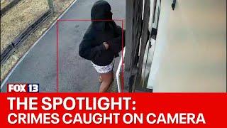 The Spotlight Local crimes caught on camera