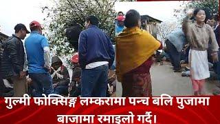 फोक्सिङ्ग लम्करामा पन्चबली पुजामा बाजामा रमाइलो गर्दै.panche baja Dance gulmi phoksing.