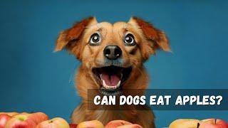 Can Dogs Eat Apples?   