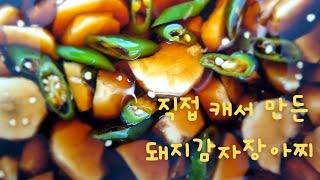 바로 캐서 담은 돼지감자 장아찌  돼지감자 캐기장아찌 담는법뚱딴지당뇨에 좋은음식