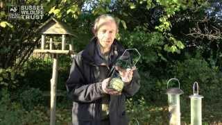 Bird Feeding Tips food and feeders