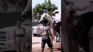 Joan Sebastian entrando a un show