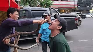 Dangerous Giant King Cobra Eating of Jakarta  Indonesian Street Food  Biggest King Cobra