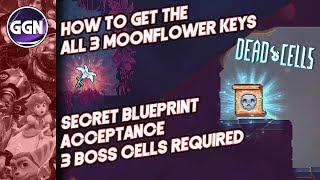 How to get the 3 Moonflower Keys and get the Acceptance Mutation  Secret Blueprint  Dead Cells