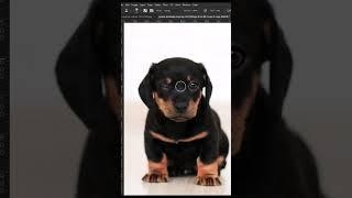 How To Use Clone Source Tool #photoshop_tutorial #tutorials #shorttutorial