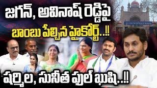 AP High Court Big Shock To YS Jagan And Avinash Reddy  YS Sharmila  YS Sunitha  Wild Wolf DIgital