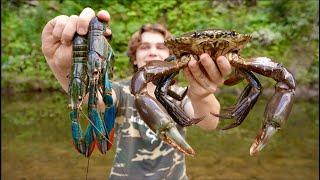 Giant Mudcrab vs. Blue Crayfish Catch & Cook