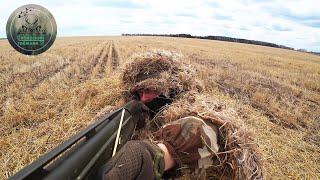 ОХОТА на ГУСЯ в одиночку  КАК ВСЁ НАЧАЛОСЬ goose hunting