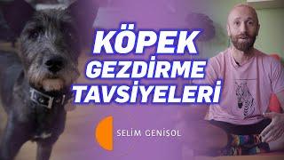 Köpek Gezdirme Tavsiyeleri