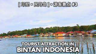 TOURIST ATRRACTION IN BINTAN ISLAND INDONESIA 印尼民丹岛游客景点 #3