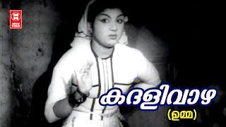 Kadhalivazha Kayyilirunnu  Umma  P Bhaskaran  MS Baburaj  Jikki  Evergreen Old Hits